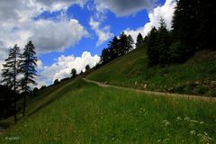 Auf dem Weg zur Steinbergalm