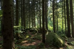 Auf dem Weg zur Steinernen Renne