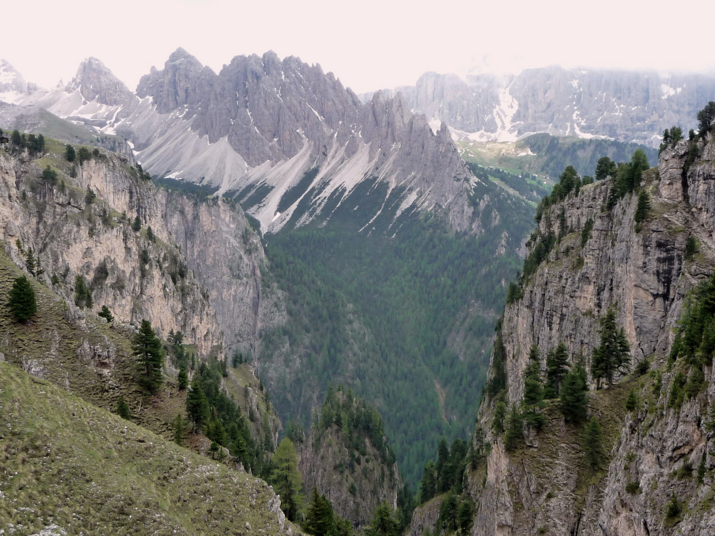 Auf dem Weg zur Stevia-Hütte bei Wolkenstein, Juni 2010