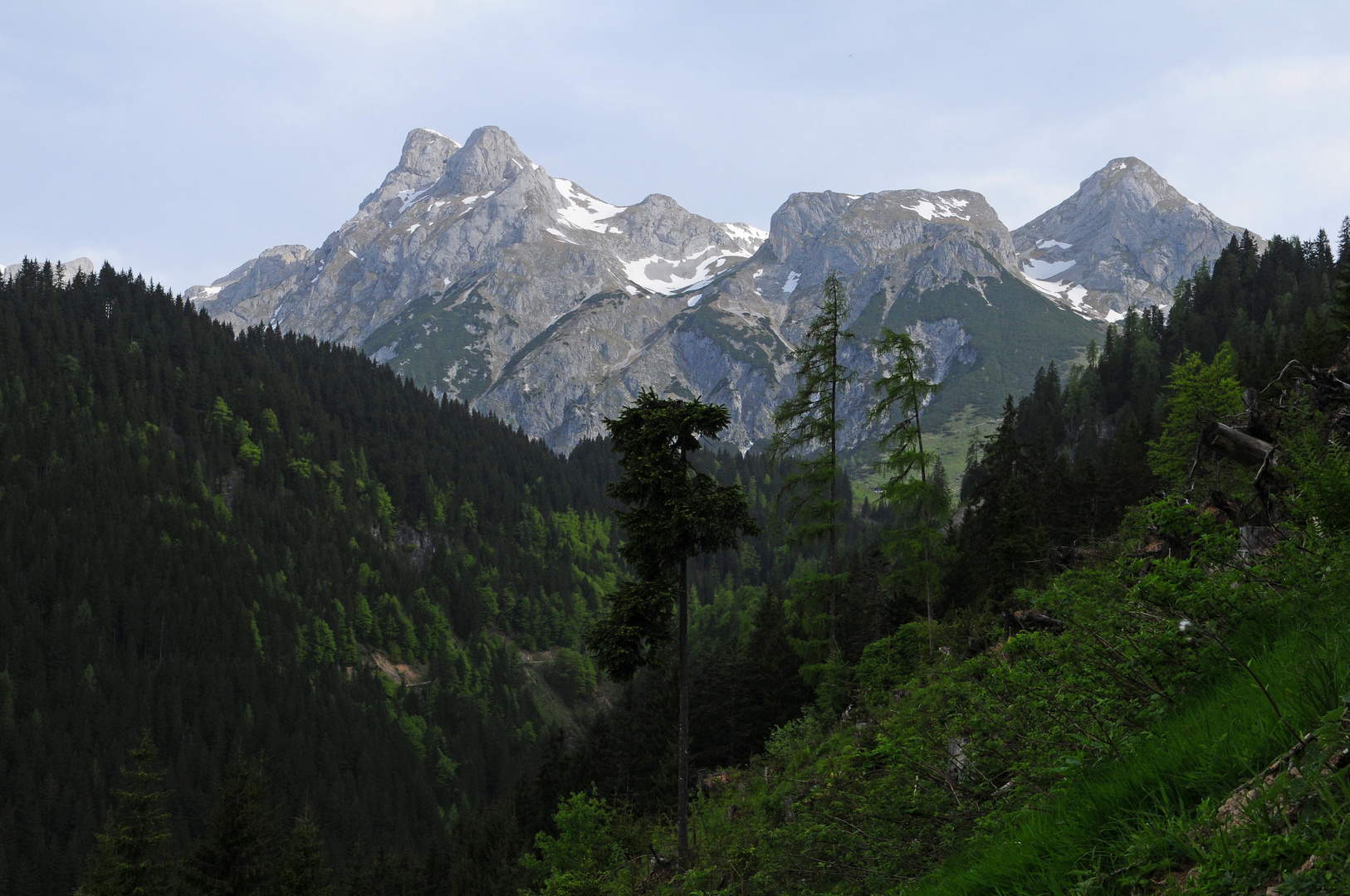 Auf dem Weg zur Strussing-Alm in Werfenweng