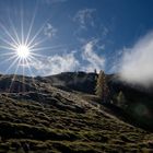 Auf dem Weg zur "Torsäule", Hochkönig (4)