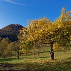 Auf dem Weg zur Wegelnburg