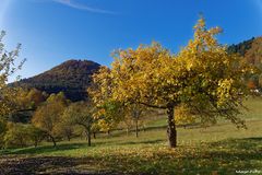 Auf dem Weg zur Wegelnburg