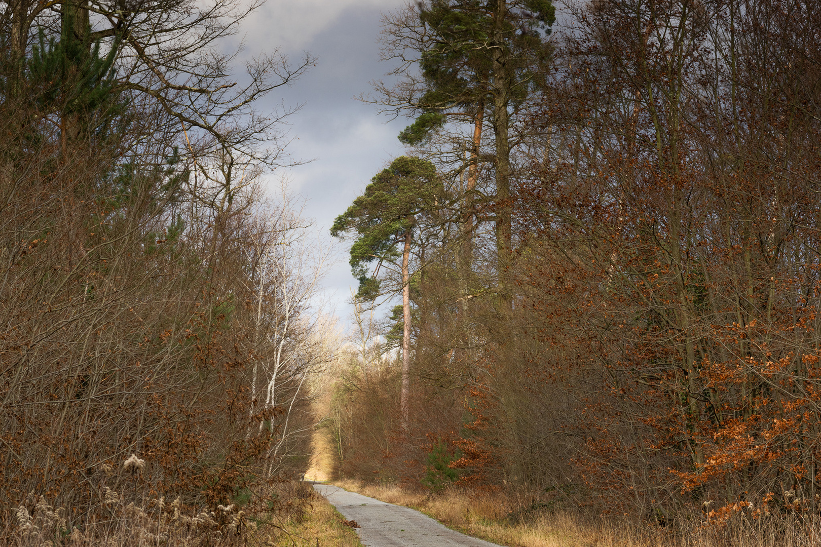 Auf dem Weg zur Wendelinuskapelle