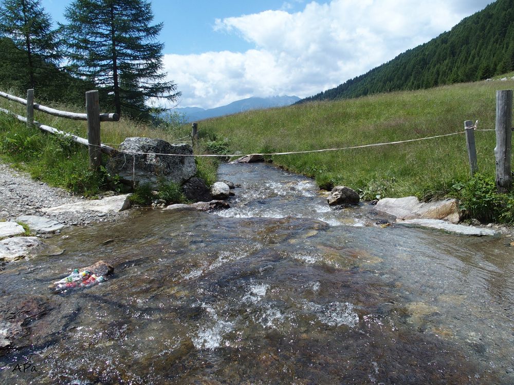 Auf dem Weg zur Wiesner Alm