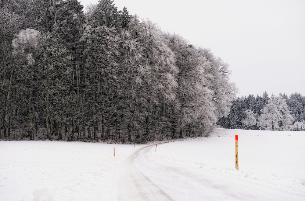 auf dem Weg zurück