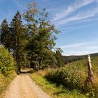 Auf dem Weg zurück ins Tal