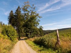 Auf dem Weg zurück ins Tal