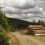 Auf dem Weg zurück ins Tal