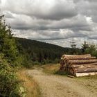 Auf dem Weg zurück ins Tal