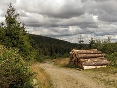 Auf dem Weg zurück ins Tal