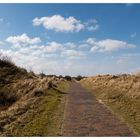 Auf dem Weg zurück nach Borkum