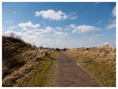 Auf dem Weg zurück nach Borkum