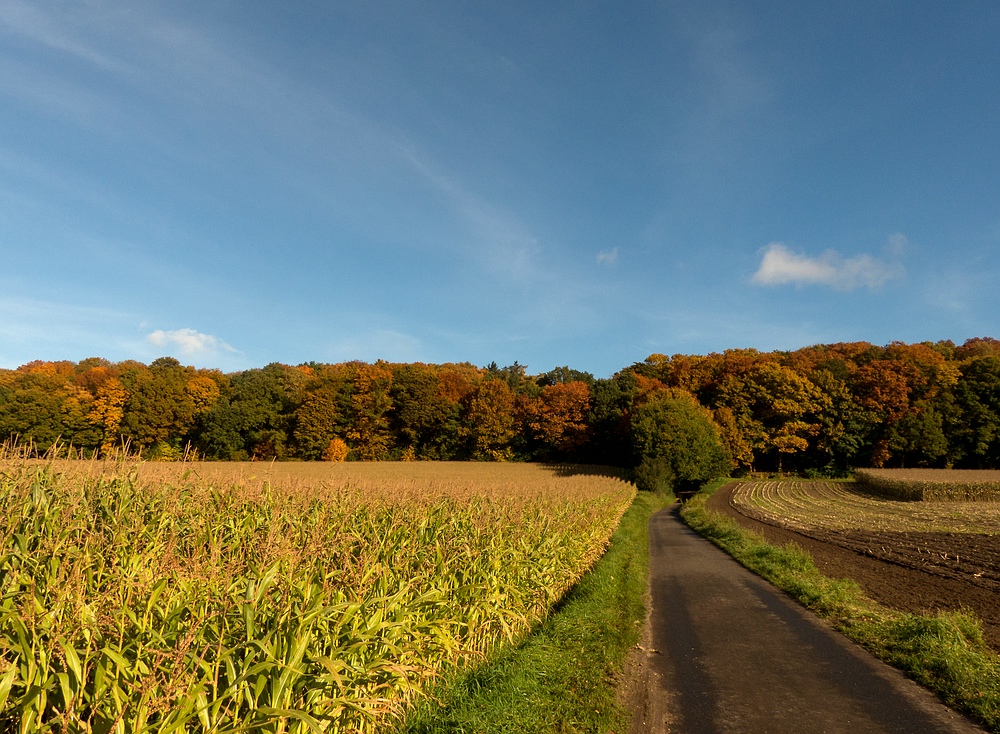 Auf dem Weg zurück nach Gildehaus