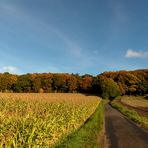 Auf dem Weg zurück nach Gildehaus