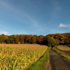 Auf dem Weg zurück nach Gildehaus