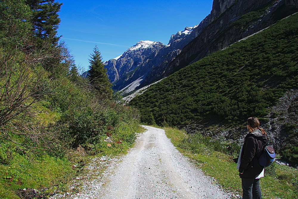 Auf dem Weg zurück zur