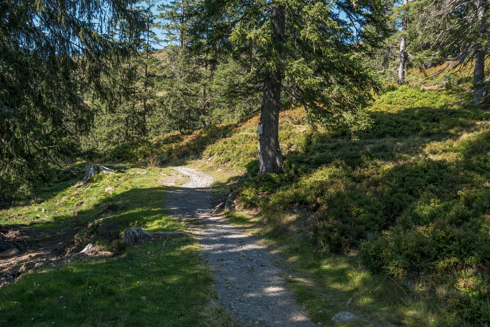 Auf dem Wege 