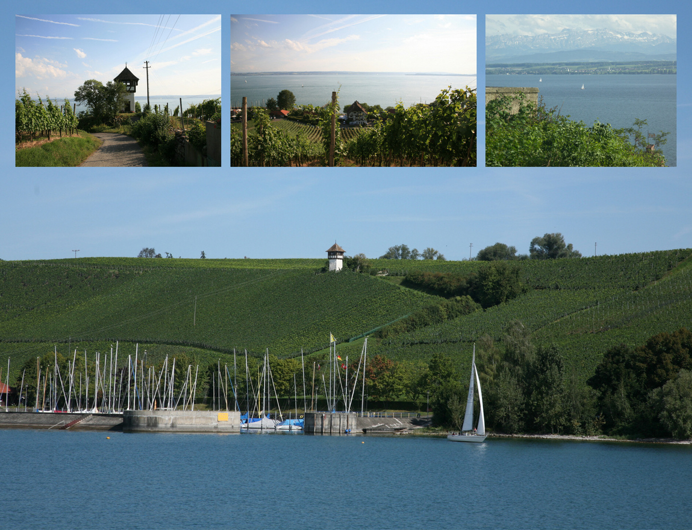 Auf dem Wege von  Meersburg nach Hagnau (Bodensee)