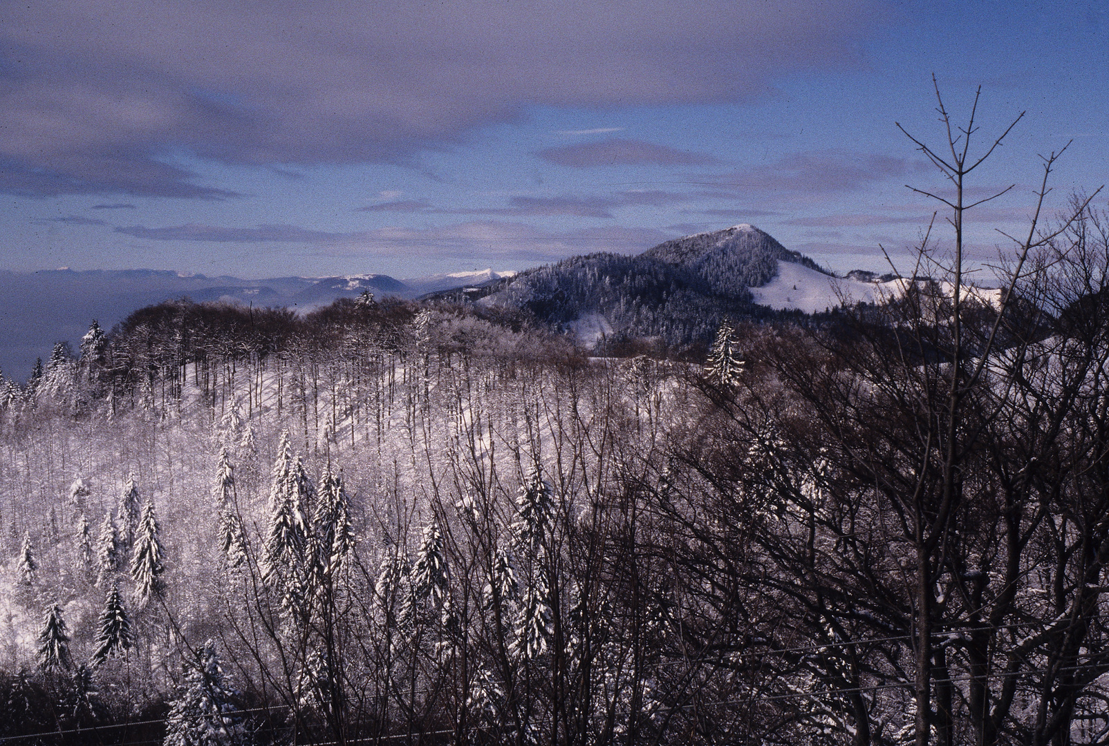 auf dem Weissenstein