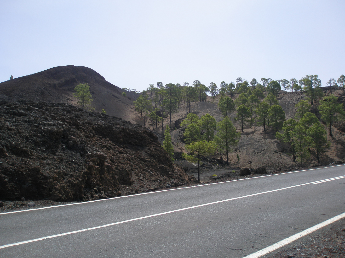 Auf dem weiteren Weg zum Teide (Teneriffa)