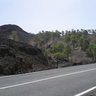 Auf dem weiteren Weg zum Teide (Teneriffa)