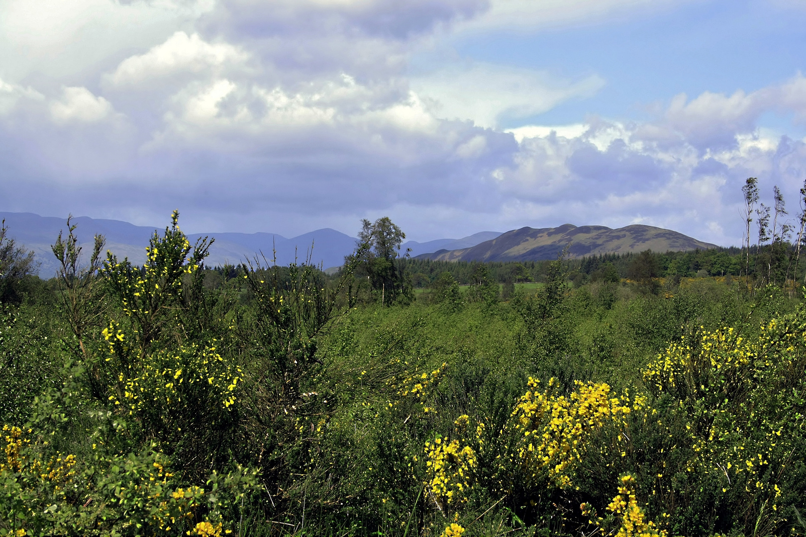 Auf dem West Highland Way