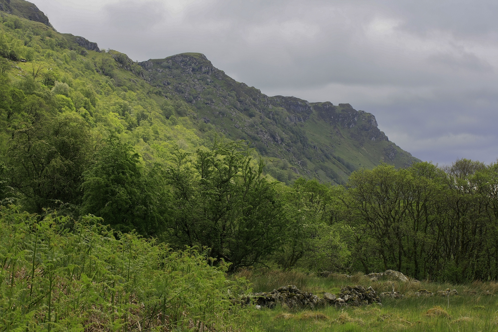 Auf dem West Highland Way