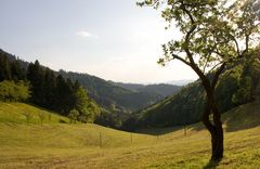 Auf dem Westweg - am Harkhof. Mai 2010