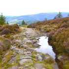 auf dem Wicklow Way