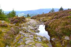 auf dem Wicklow Way