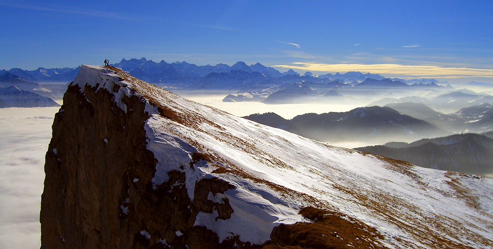 Auf dem Widderfeld, Schweiz