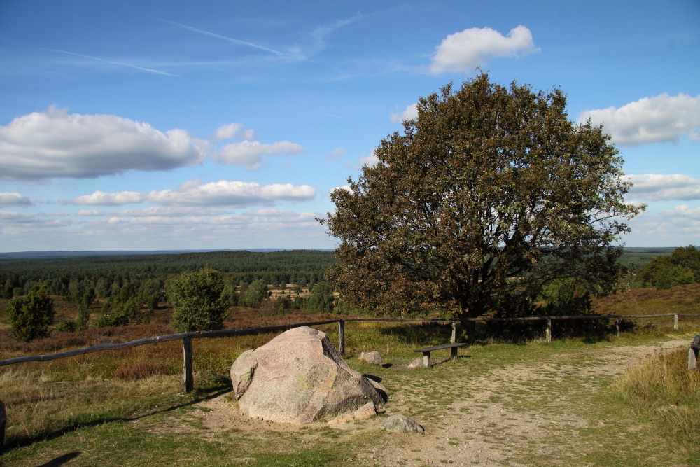 Auf dem Wilseder Berg...