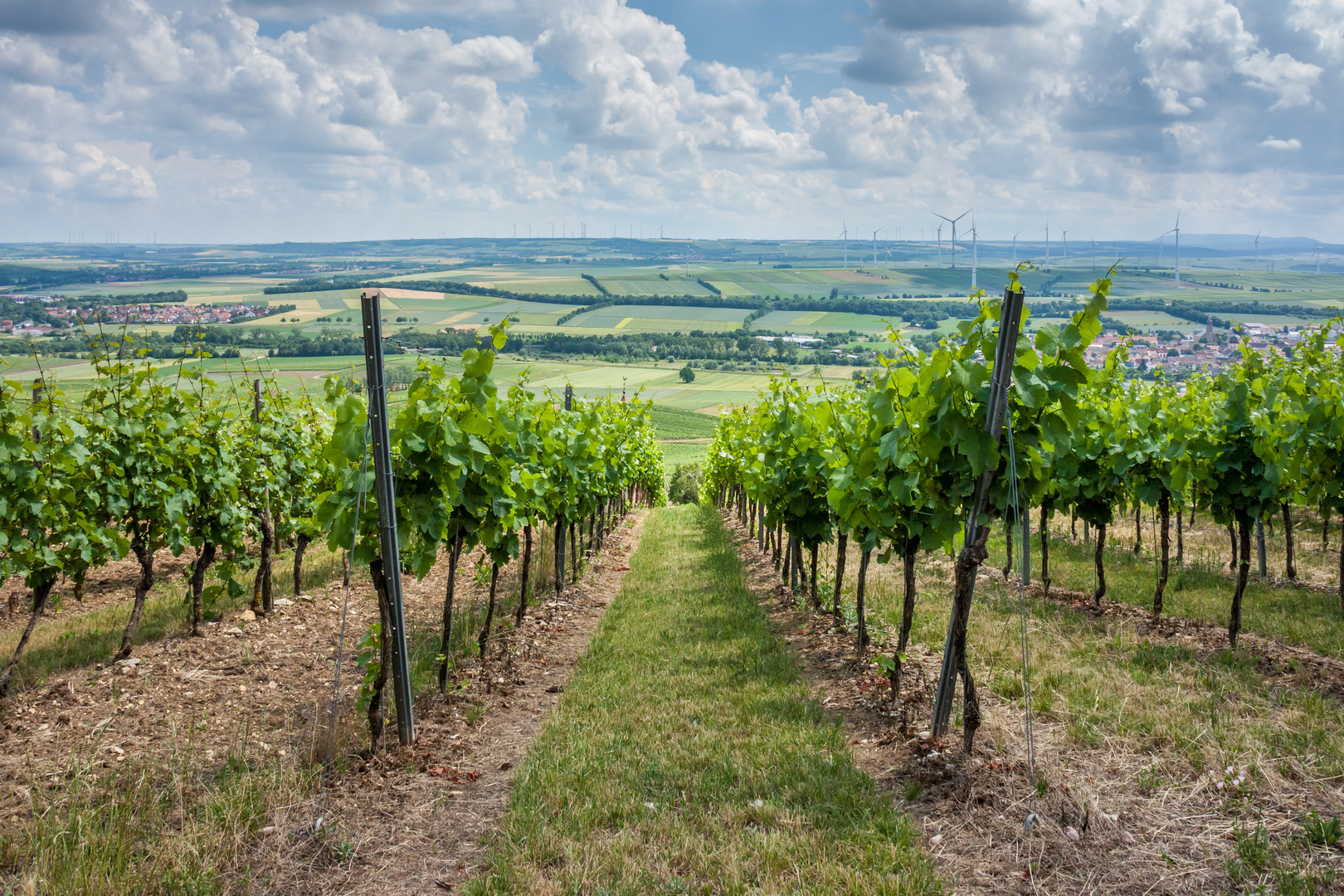 Auf dem Wißberg