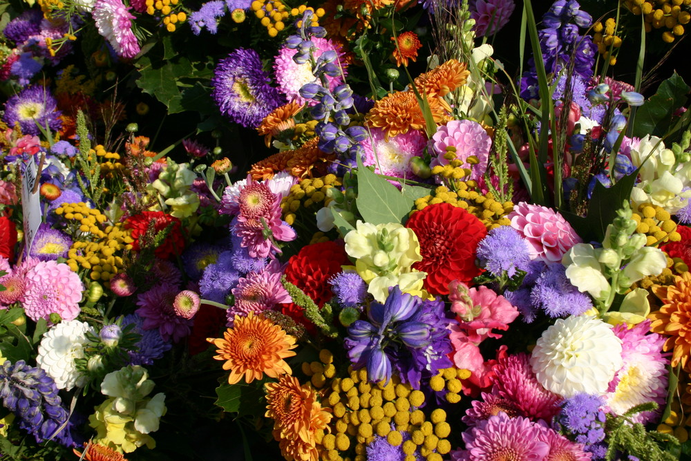 Auf dem Wochenmarkt am Blumenstand