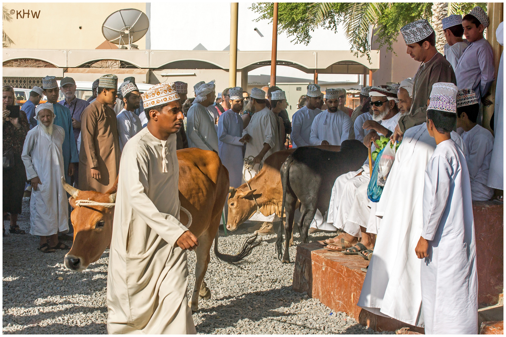 Auf dem wöchentlichen Viehmarkt in Nizwa (Oman)