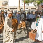 Auf dem wöchentlichen Viehmarkt in Nizwa (Oman)