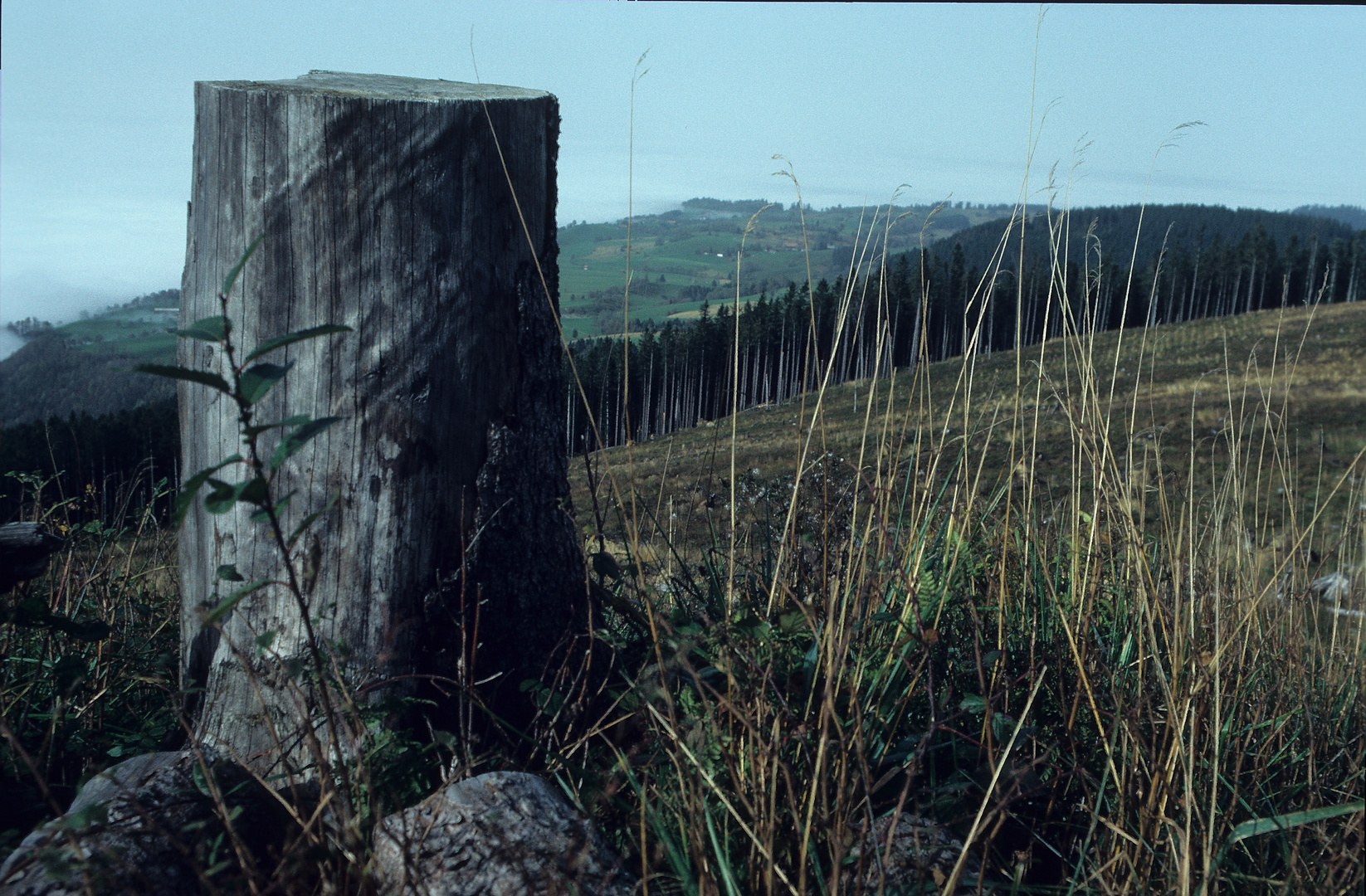 auf dem Zugerberg