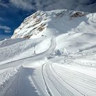 auf dem Zugspitzblatt