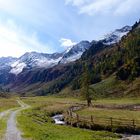 Auf den Almen im Jaufental / Südtirol