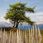 Auf den Bergen bei Brixen