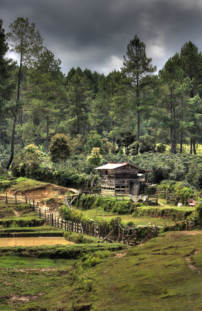 Auf den Bergen in Lake Toba (Indonesien)