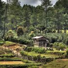 Auf den Bergen in Lake Toba (Indonesien)