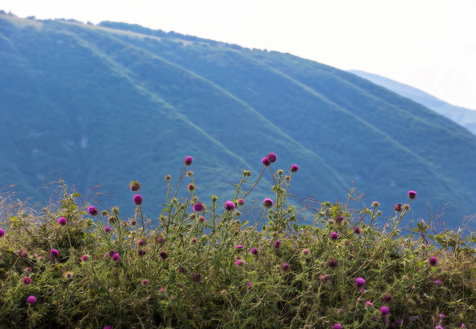 auf den Bergen sind die Temperaturen noch zu ertragen - bei 40 Grad im Flachland