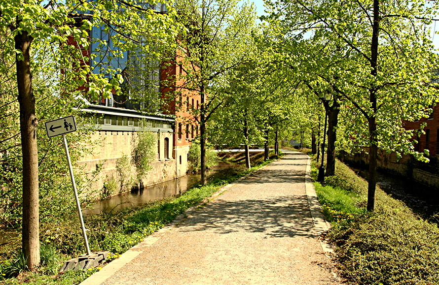 Auf den Bleichgräben