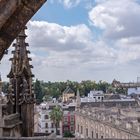 Auf den Dächern der Kathedrale von Sevilla