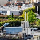 Auf den Dächern von Paris