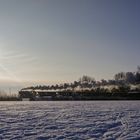 Auf den Dippelsdorfer Teichen am Morgen