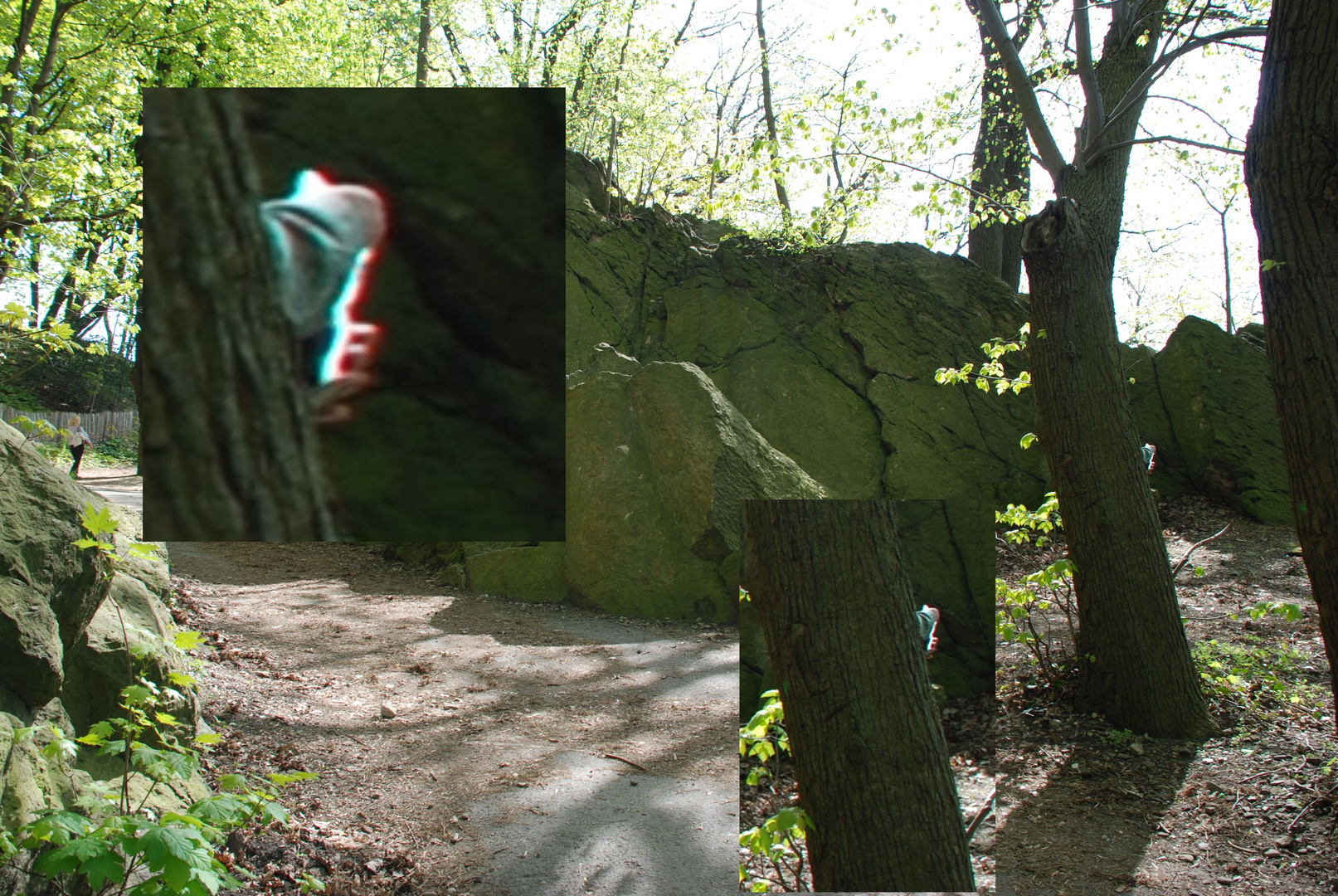 auf den drachenfels im siebengebirge