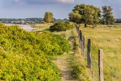 auf den Dünen - Hohwachter Bucht/Schleswig-Holstein